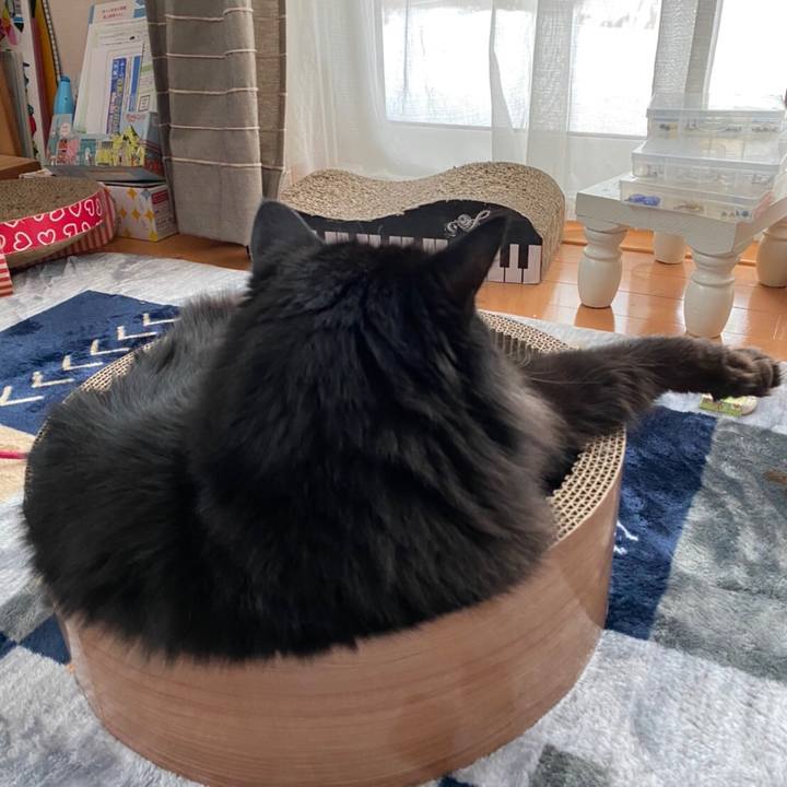 0a48bb75 f4fc 4697 9d92 28280d8cdde6 1581987027342