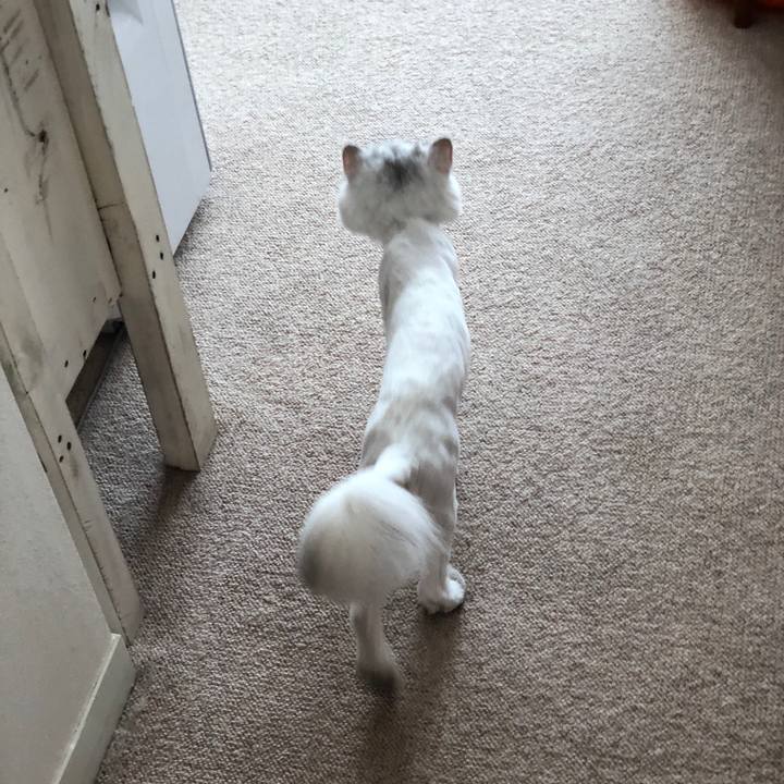 0a49079d f0d5 4283 bf6c bf0c6afa90f7 1523094507619