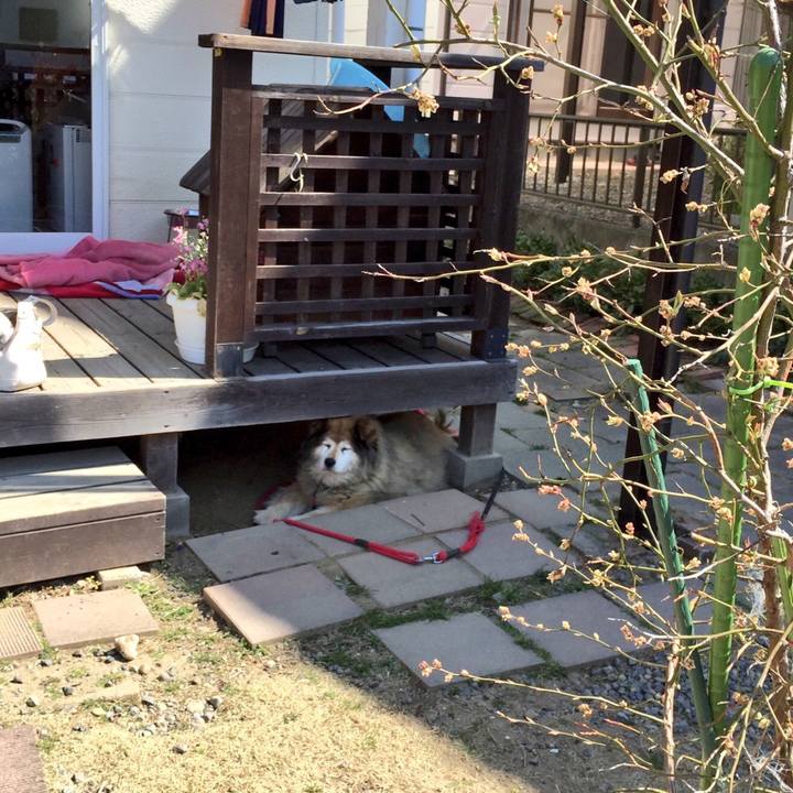 0a4947bd 5526 494d acaf 36a8d2d3114a 1661787769232