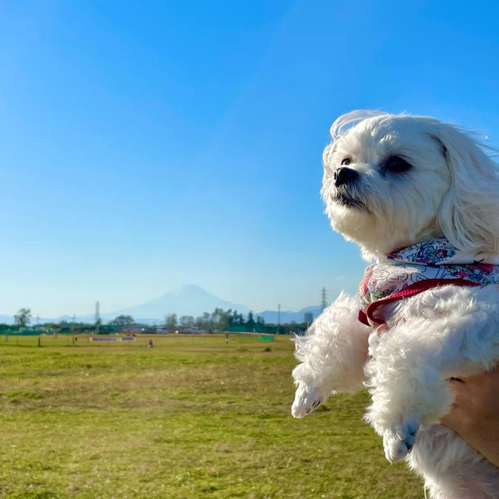 0a497f36 8167 4ad9 a1f7 5a475e189ded 1636795298154