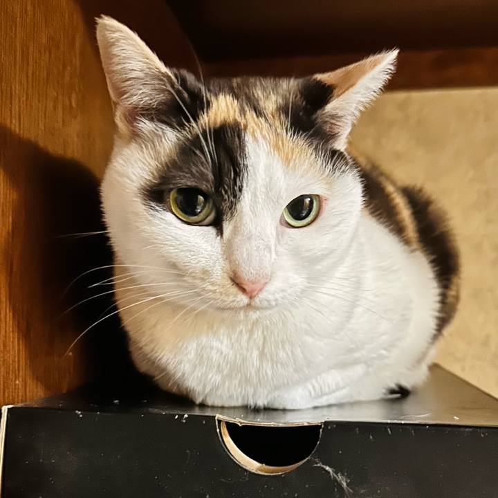 0a498d0c c4fc 4d45 bd00 58286be66511 1683250903719