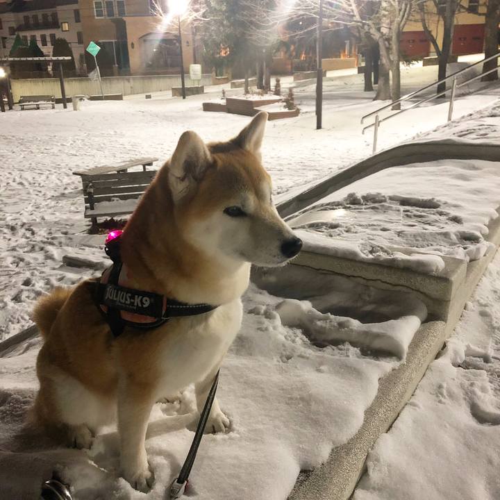 0a49a7d9 8eb5 4cc3 bbcc 39f19bb08a3f 1578137085943