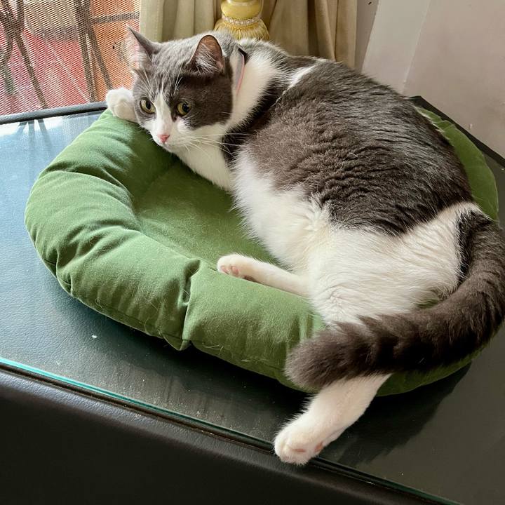 0a4a5728 e5a7 4c0b b345 8fe72bb4b7c0 1763873631135