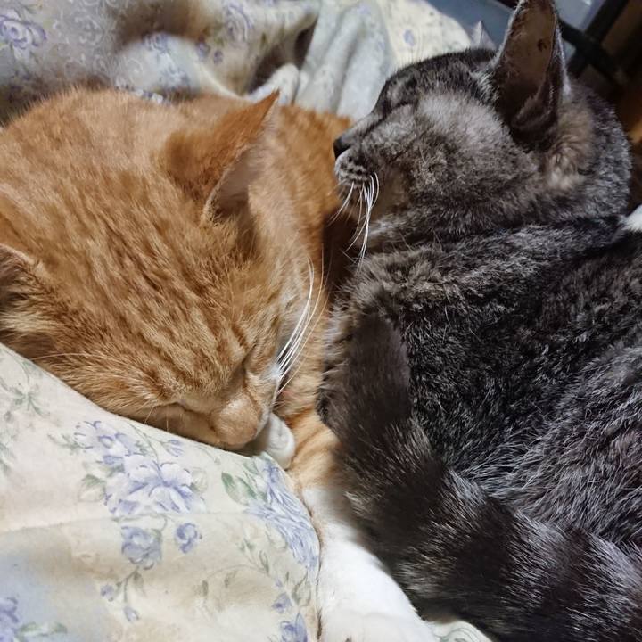 0a4a7914 e12d 41a9 9cb7 12e35e2b6931 1575893215362