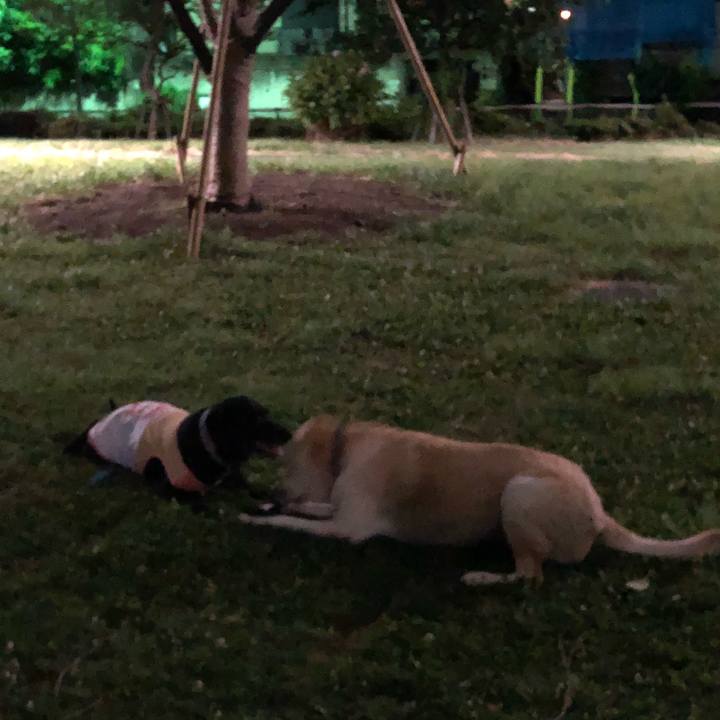 0a4a8bac 5bea 4d39 8159 70db1d383382 1530705819379