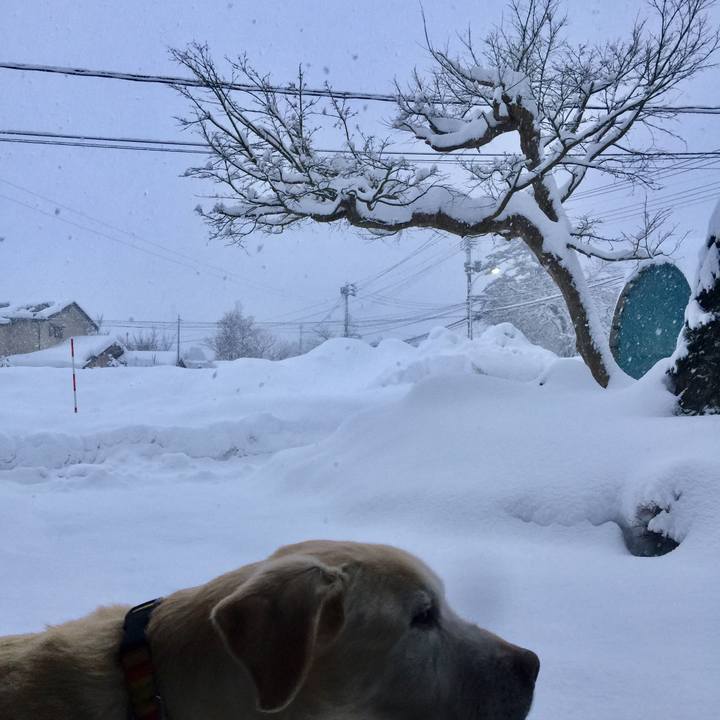 0a4a991a 004d 477a 9cc3 0e3155cafbf3 1517659013475