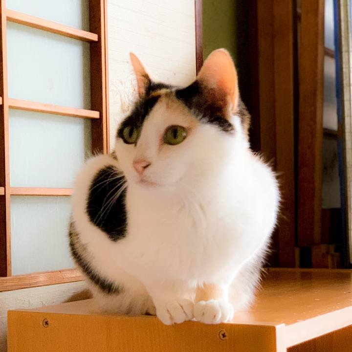 0a4ad0f2 554e 42bf a209 0a4de393c776 1562808788879