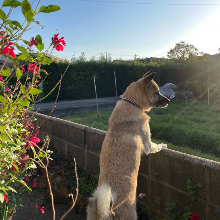 0a4ad65c f4d7 42ff b619 803cabd0bd86 1665659998815