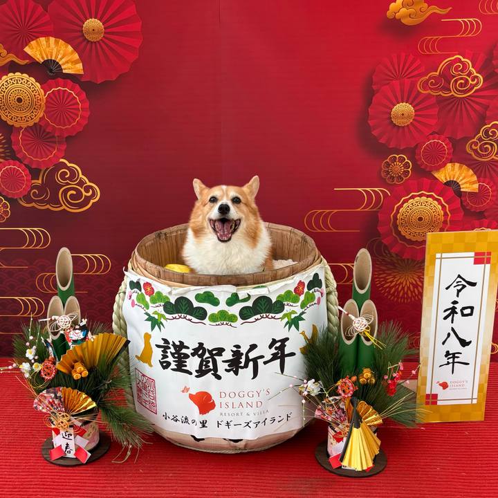 0a4af499 8c4c 452b a2f6 e88af9b27072 1767226702593