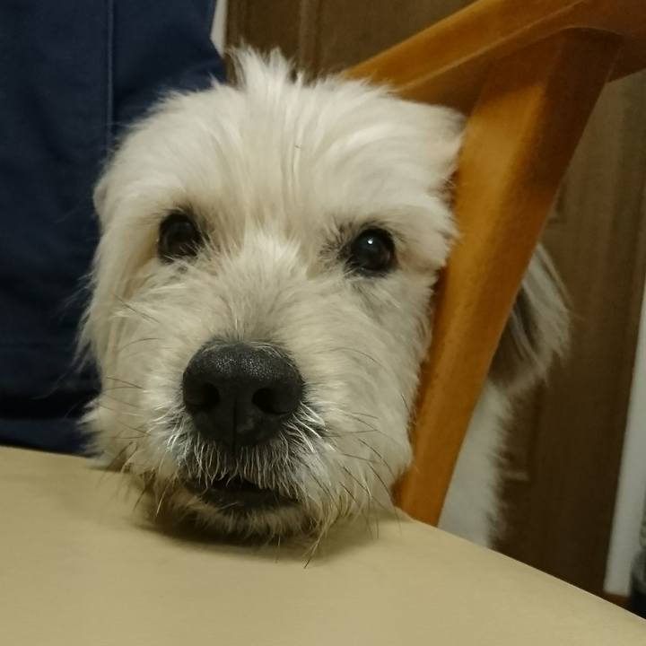 0a4afc51 c37b 4b13 bcac 5e5bd252a239 1577947459938