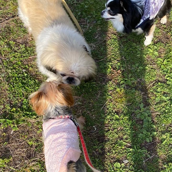 0a4b15b0 8790 43a6 90be 391d9c4f7f25 1616900974517