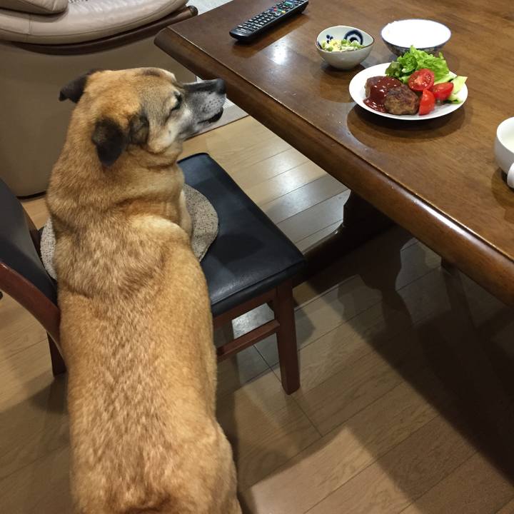 0a4b4510 57e3 4c97 88e3 9cf4993af774 1525950936230