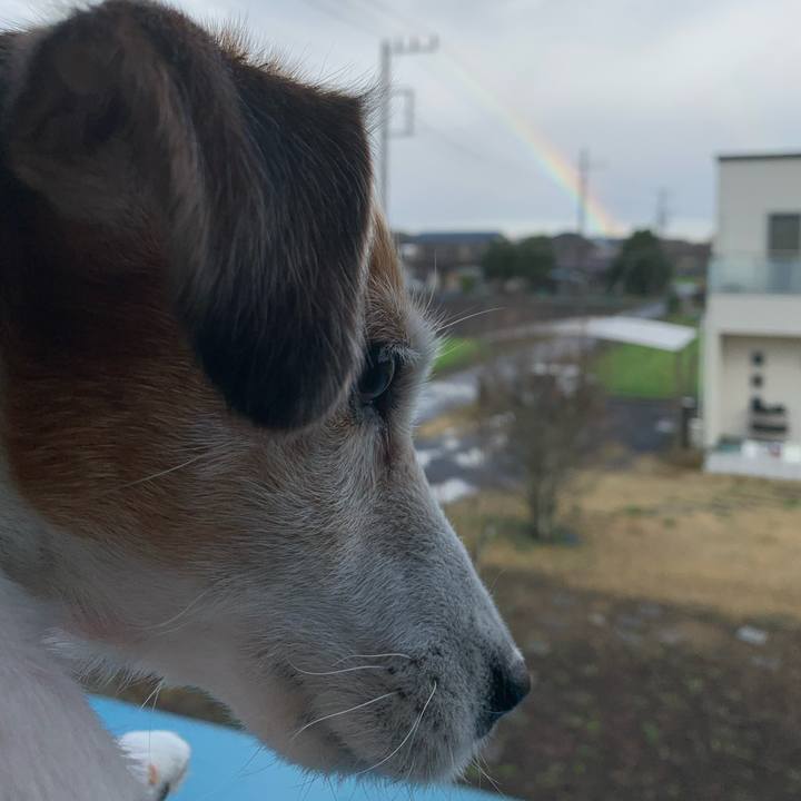 0a4b5257 44a8 47fc 8531 6fe9a0db0f20 1584715698361