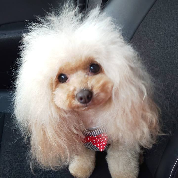 0a4b7a99 4383 412c bf0a 1371ffcfddf7 1643942781278