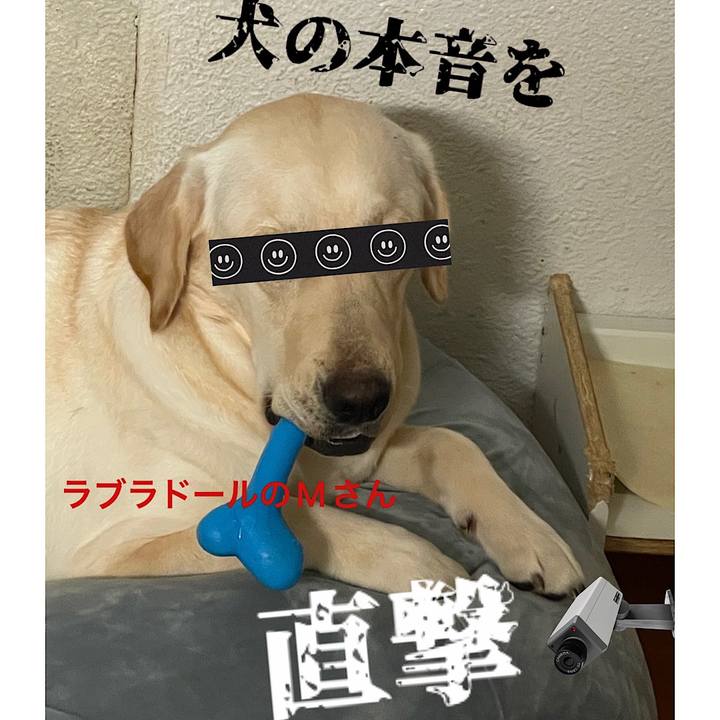 0a4b8a09 d60c 4bb5 93ab 4509bcdba078 1642681027826