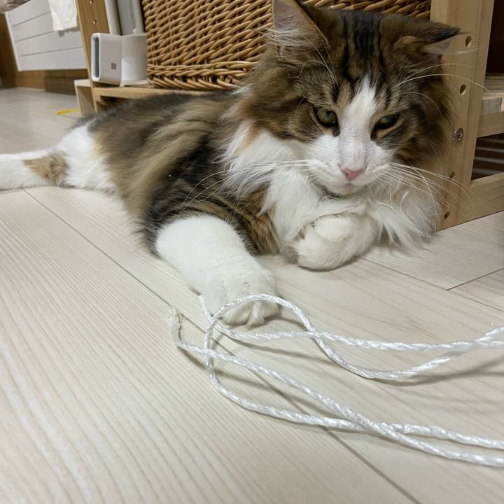 0a4b90ec 84c0 41af 8c08 dad4aa7f3c43 1641819078440