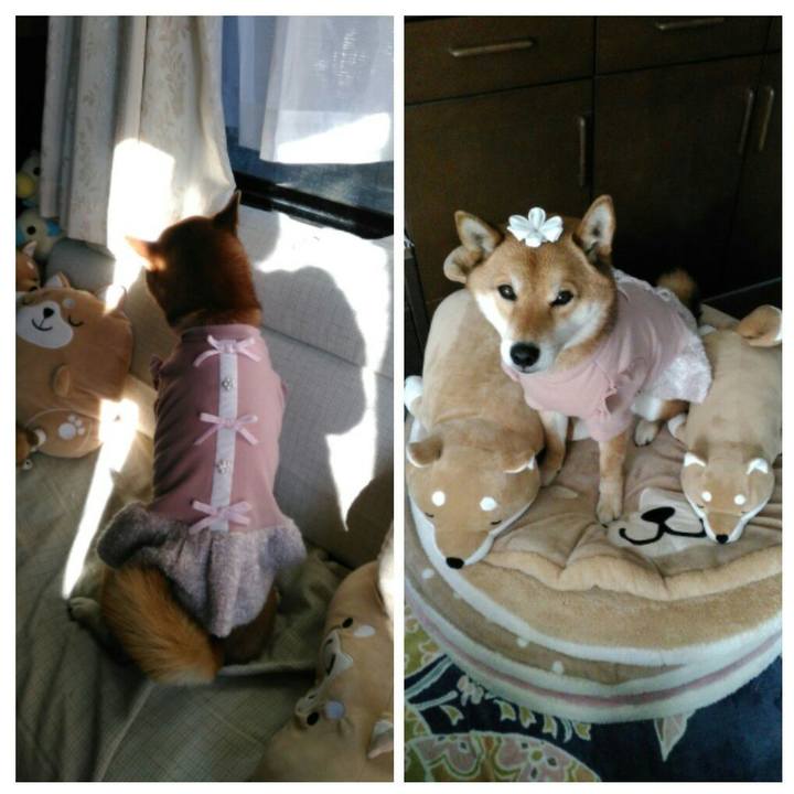 0a4bdd30 7088 4d27 969d e54f92aa07b8 1517063778559