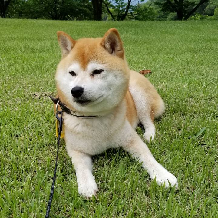 0a4c01e5 4449 4e78 a04a 8d8df8aeb527 1593322192778