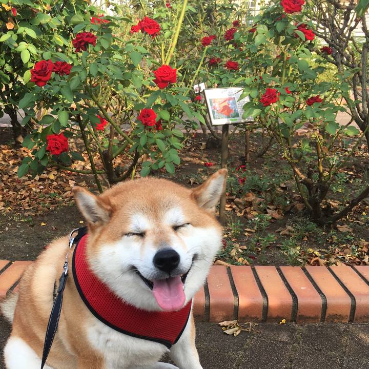 0a4c0f72 4748 4766 9be2 debaa0b2f28f 1597793210927