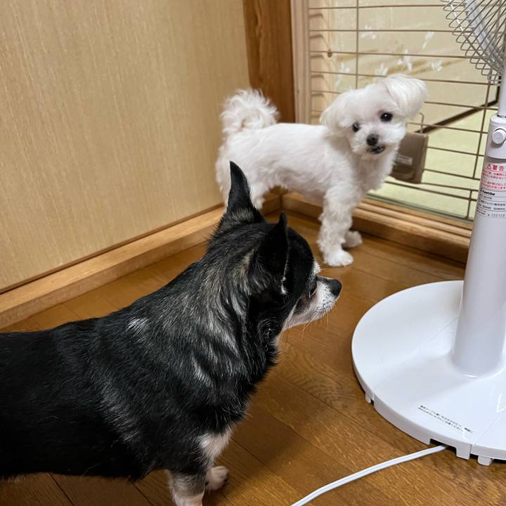 0a4c1e93 8bcf 47d4 ac66 210b63e0a9d1 1688127527850