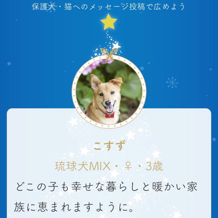 0a4c50f1 81ec 47aa 8dde a6346563c334 1544967603255