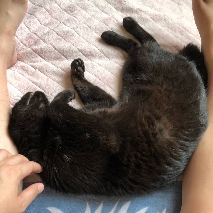 0a4c605e 9aa4 446c 87ef 13df0193e7af 1564525227750