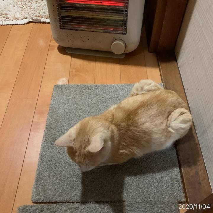 0a4c83c9 ccdb 4fb4 94b1 78432e94f452 1604439994147