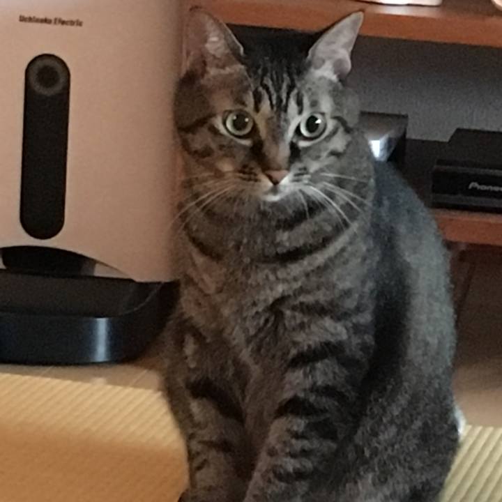 0a4c9ea8 0f4d 434c b7f0 9dd600225a49 1536364358225