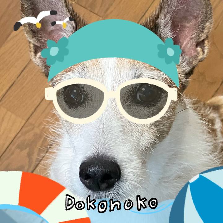 0a4cd0b9 49d6 4651 ae9d 79545a98d01d 1723249995734