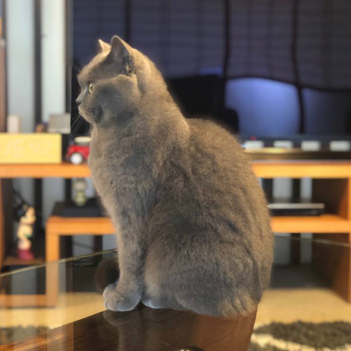 0a4cfb5e 0f81 40f0 bb97 60db7025b126 1615618377872