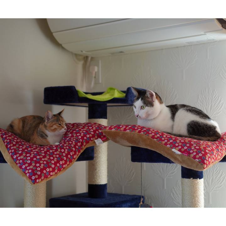 0a4d2669 74eb 4b35 b53e 46fc8f07407a 1580803956511