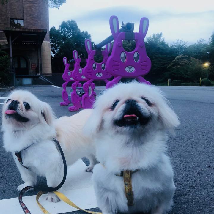 0a4d4cd2 7a1b 48ad 929e 783fd1252eb3 1599345448808