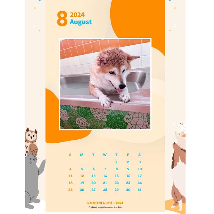 0a4d71c8 da60 47bc ad3e 7b4622d97895 1692508384116