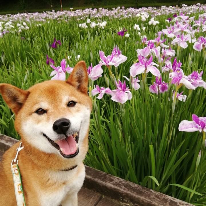 0a4d874f 2d08 4f9f 9786 3a0313f9d97c 1622595706122