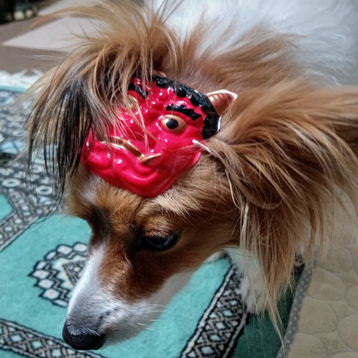 0a4d91c4 9678 43a0 a70c a184c3557512 1706962878191