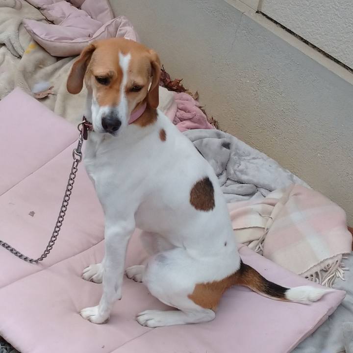 0a4da6de f3b4 423f a8fb 09d798d51d12 1579153749335