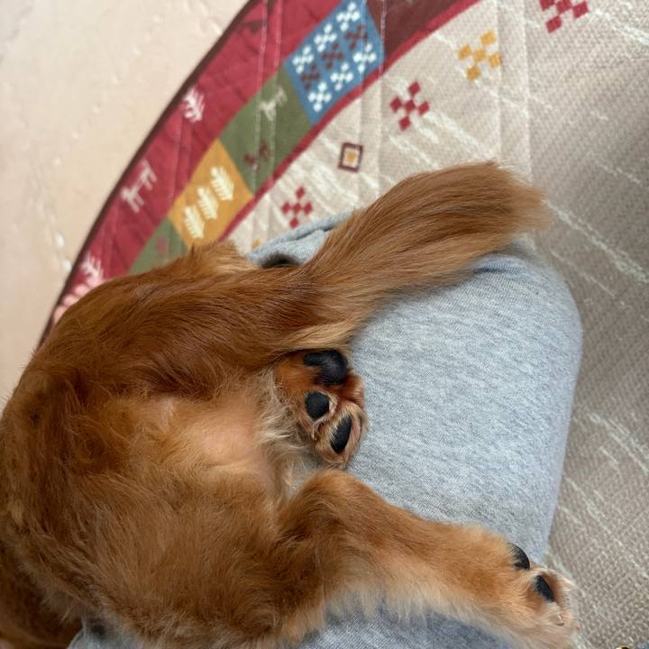 0a4dd4bf bb97 48e2 a565 6c73967106d3 1760753617132