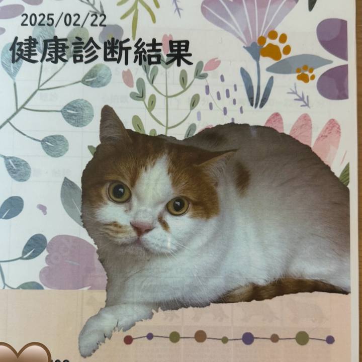 0a4df93c 1190 45b3 a691 2ad1d8f40eca 1740225037733