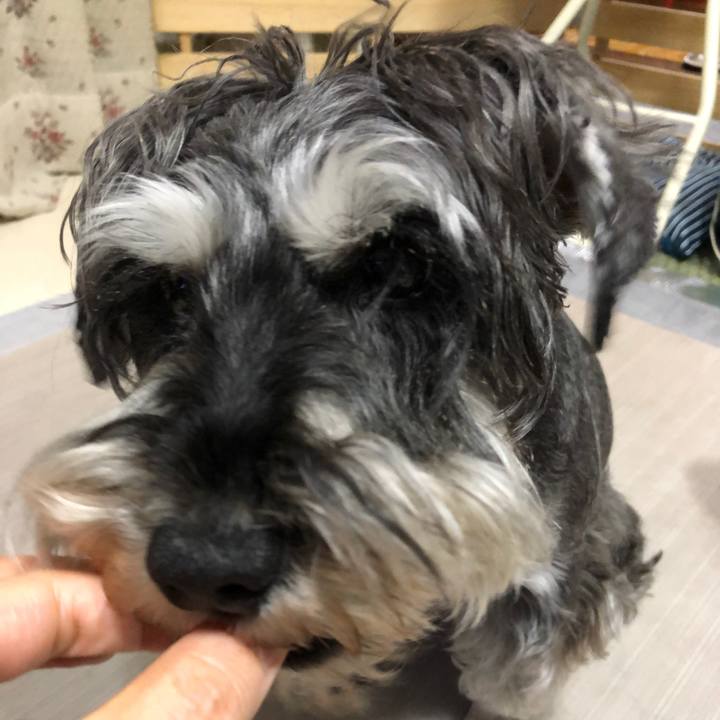 0a4e3777 34a7 46aa a58b cf33a3eacab7 1624675105170