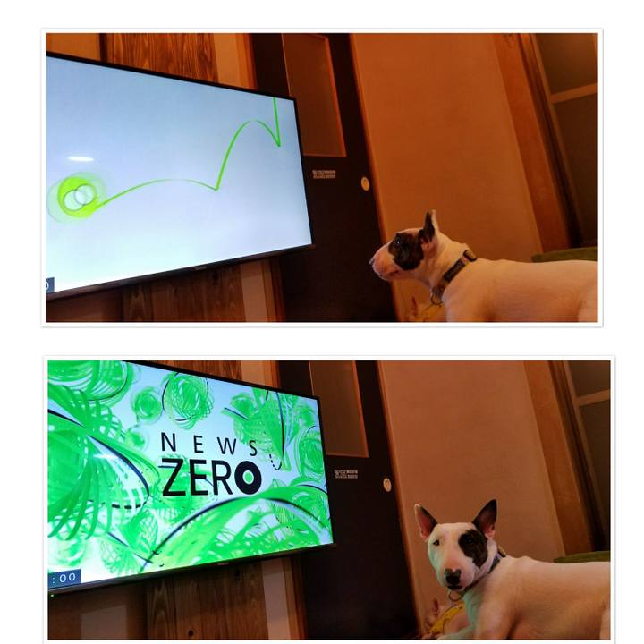 0a4e3807 9610 435e 91a2 b8147c28577c 1535638595577