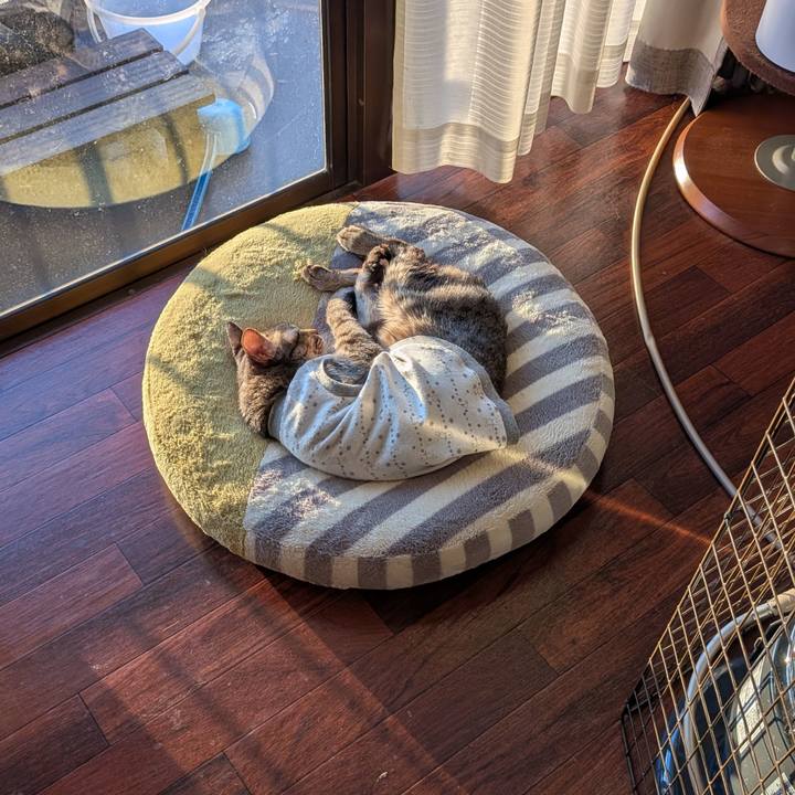 0a4e9981 3a9d 48cc b929 3213dd7217aa 1772759144192