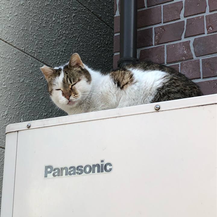 0a4eaa41 4687 48a9 aa72 32f39340664b 1575206088066