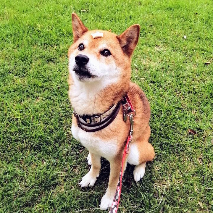 0a4eb6ca d76b 41d7 a2c8 fa329b227c06 1594613348838