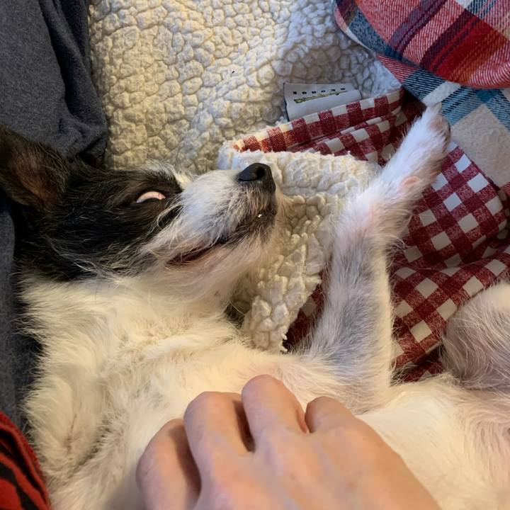 0a4ecec3 9ba5 47fb ac26 8ca45b6d1e62 1616332076872