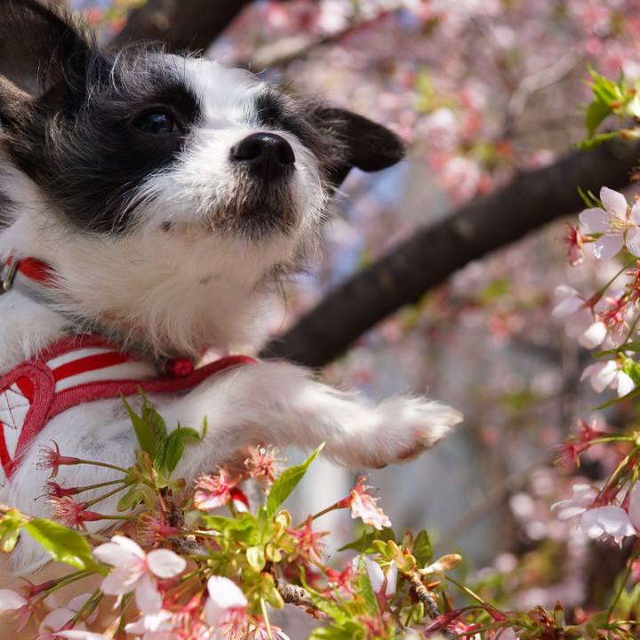 0a4eeb85 01cb 48f1 b8a5 fa59519f4d31 1520769919279