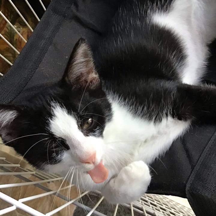 0a4efcc4 2d8d 4703 81a3 b45ad6afccce 1626421049078