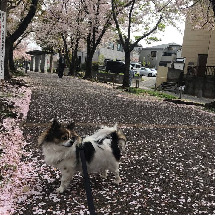 0a4f4193 2ca3 4e8c 9ecb 96a149e89240 1617246447319