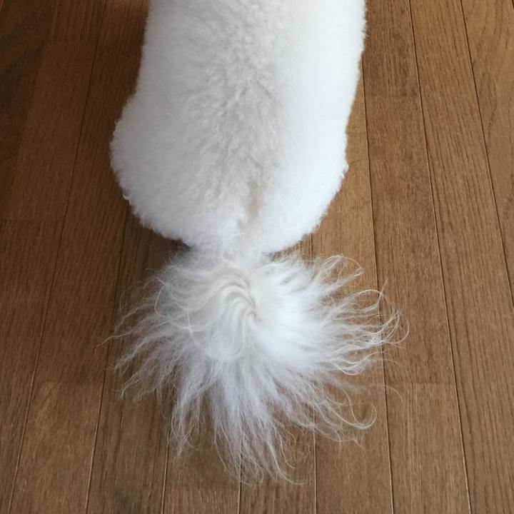 0a4f67c5 b015 486d a2bb 4726d0b48e53 1533078145451