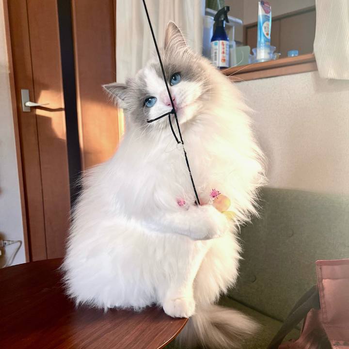 0a4f7db5 91e0 4eee b514 5aa3705a7f53 1705884155953