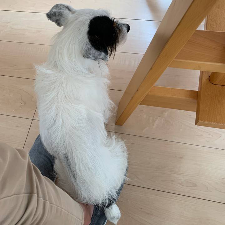 0a4fabd0 f42b 4b05 a4ec dd735978460e 1686712564079